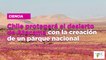 Chile protegerá el desierto de Atacama con la creación de un parque nacional