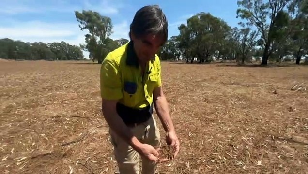 Victorian farmers hit by last year's floods still struggling