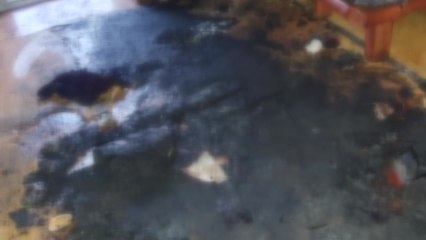 아산 신창면 단독주택에 불...80대 남성 숨져 / YTN