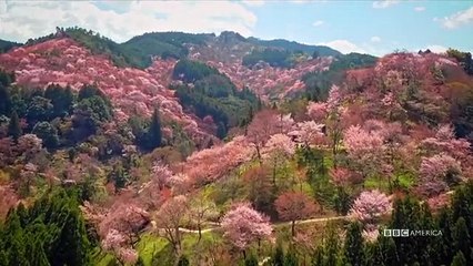 A Wild Year on Earth - Se1 - Ep02 - March-April A Time Of Renewal HD Watch