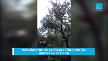 Helicópteros de La Plata sofocando las llamas en el Delta