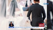 Mga alagang aso, parte ng bridal entourage | UB