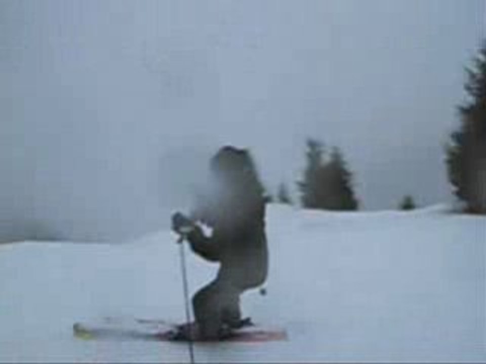 Chatel 2008