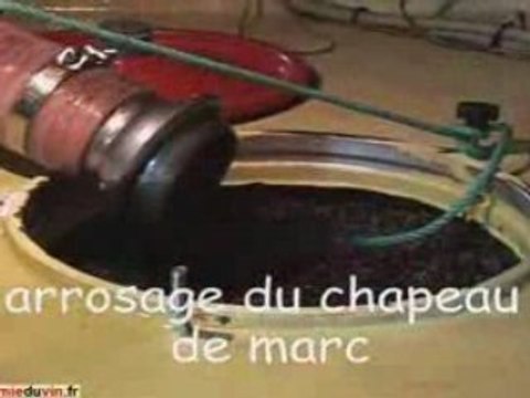 Vinification d'un vin rouge : cours académie du vin