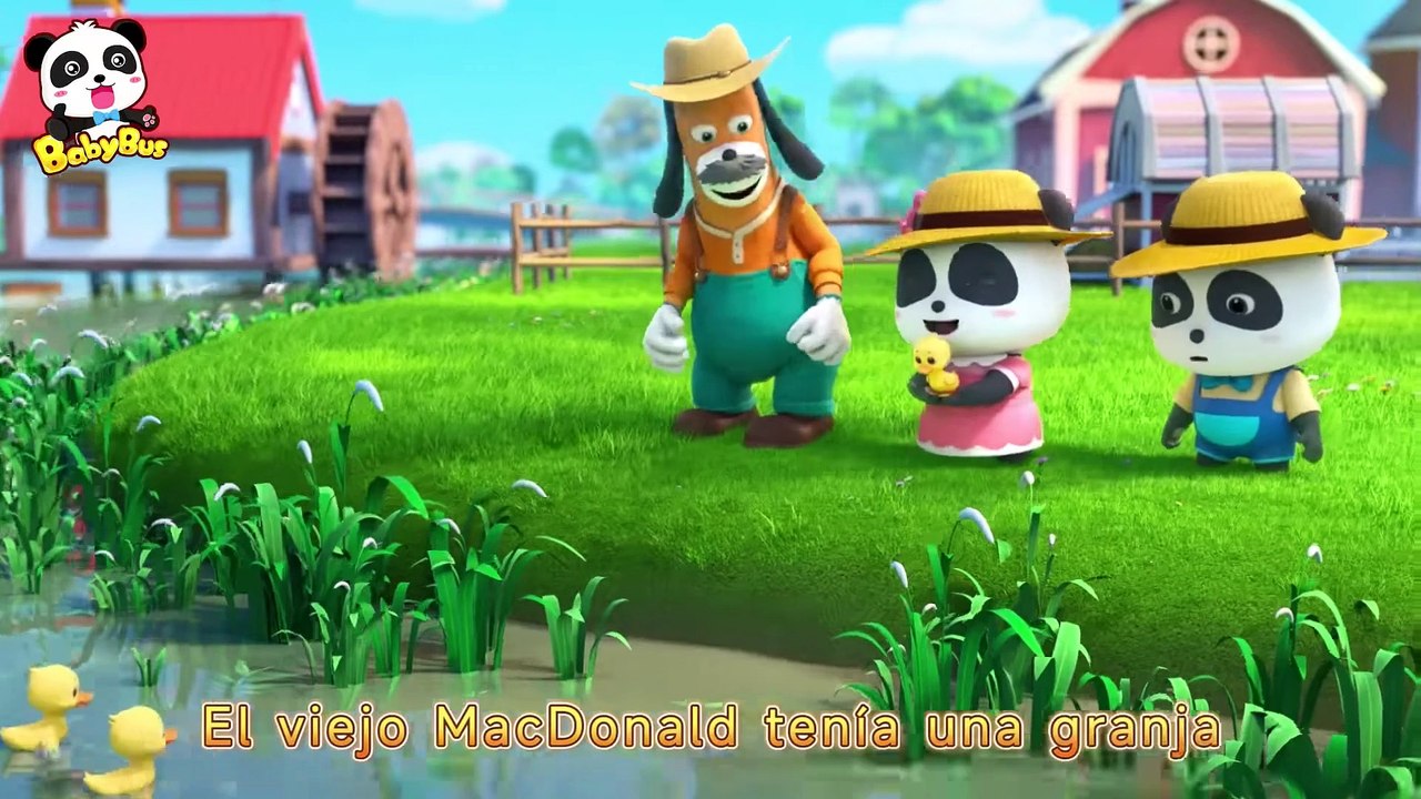 El Viejo MacDonald Tenía una Granja | Canciones Infantiles | Video Para Niños | BabyBus Español