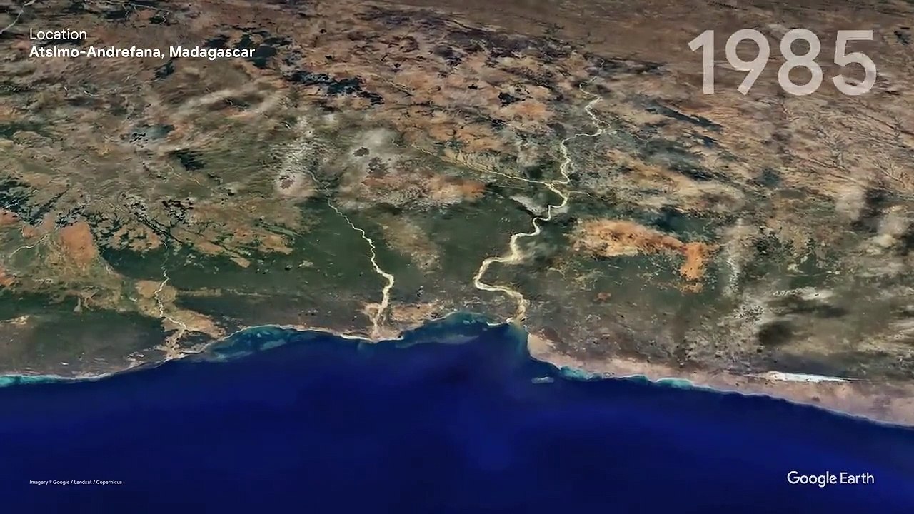 Our Forests _ Timelapse in Google Earth