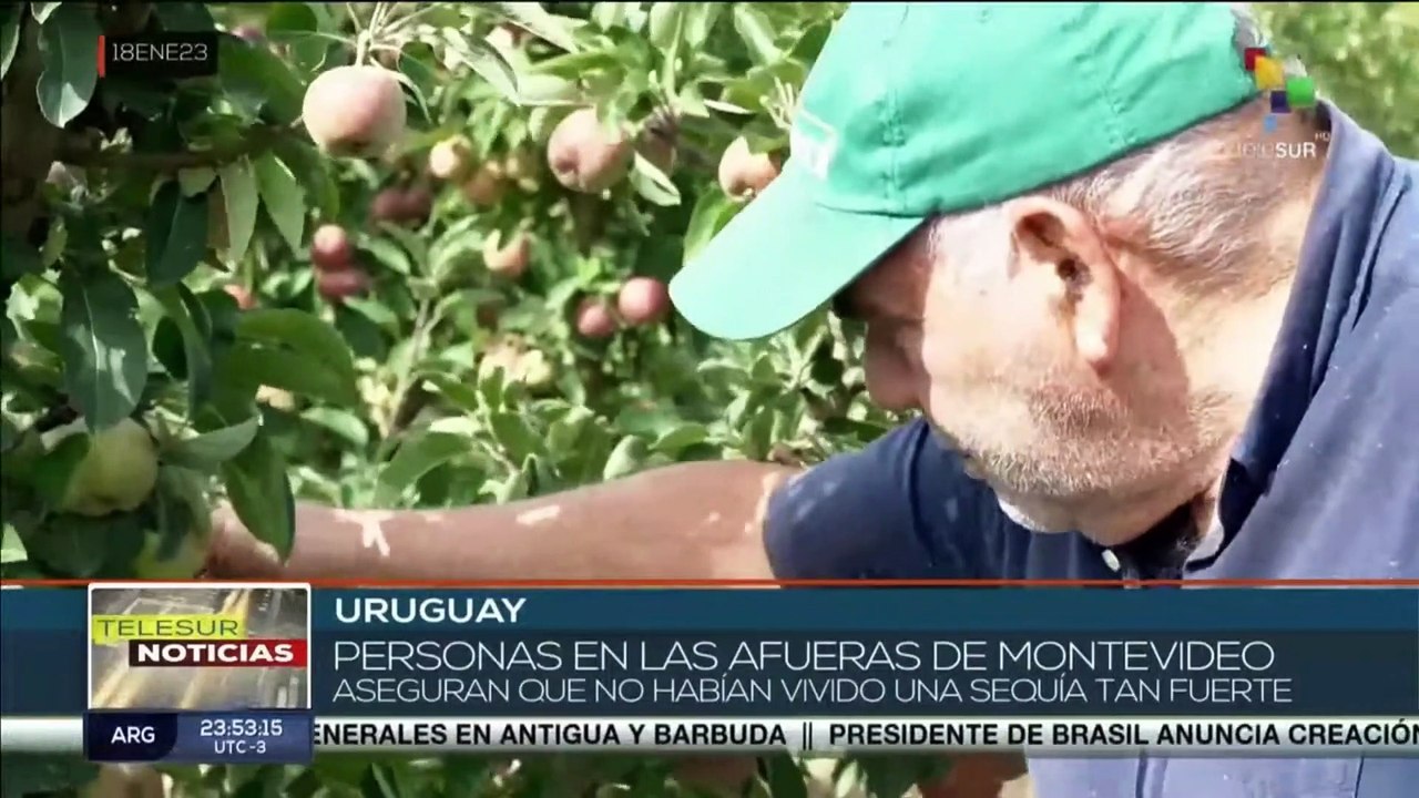 Uruguay sufre los efectos de la sequía con más del 60% en estado “extremo” o “severo”