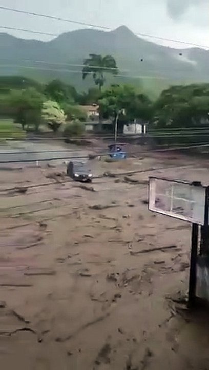 Árbol arrastrado por un rio, producto de las fuertes lluvias