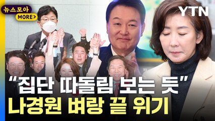 [뉴스모아] 尹, 수위 높은 경고장…나경원 '중꺾마' 향방은 / YTN