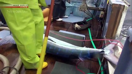 TRAILS TO OISHII TOKYO - MARLIN