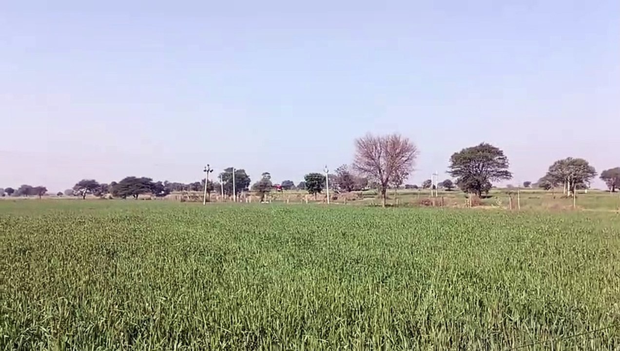 दौसा. ड्रोन तकनीकी से किया नैनो यूरिया का छिड़काव