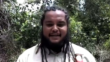 Queensland rangers scour coast off Brisbane for rogue crocodile