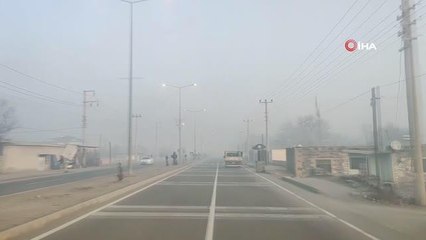 Iğdır'da sis ve soğuk hava etkili oluyor