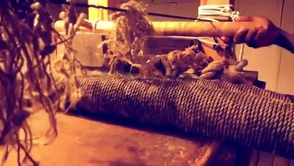 Cranium Intel (2016) Watch HD