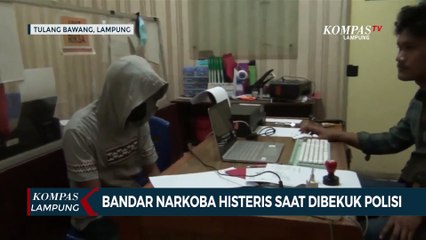 Bandar Narkoba Histeris saat Dibekuk Polisi