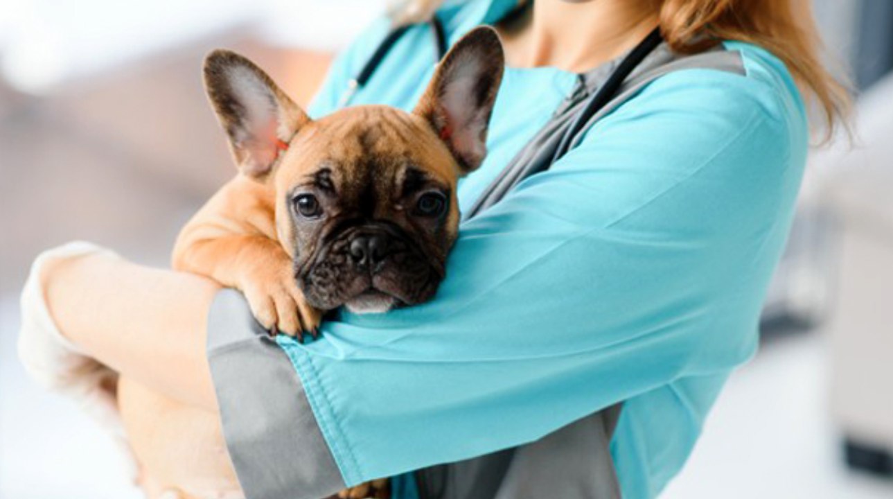 Attention, cette arnaque qui cible les âmes charitables peut vous faire perdre gros