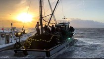 İzmir Körfezi'nde kaçak avcı operasyonu: Balıkçı teknesi kaçtı, ekipler kovaladı