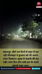 वीडियो: गुरुवार को भी कोल्ड डे, ठंड का कहर जारी