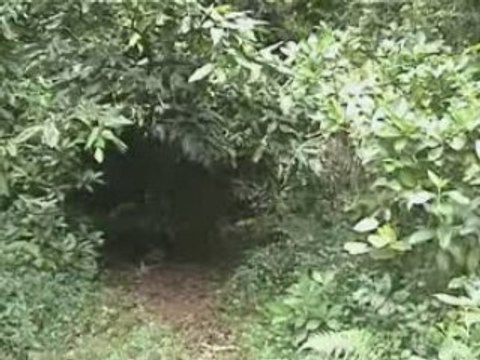 Rob Nokes - Recording Sounds of Daily Life - Cook Islands