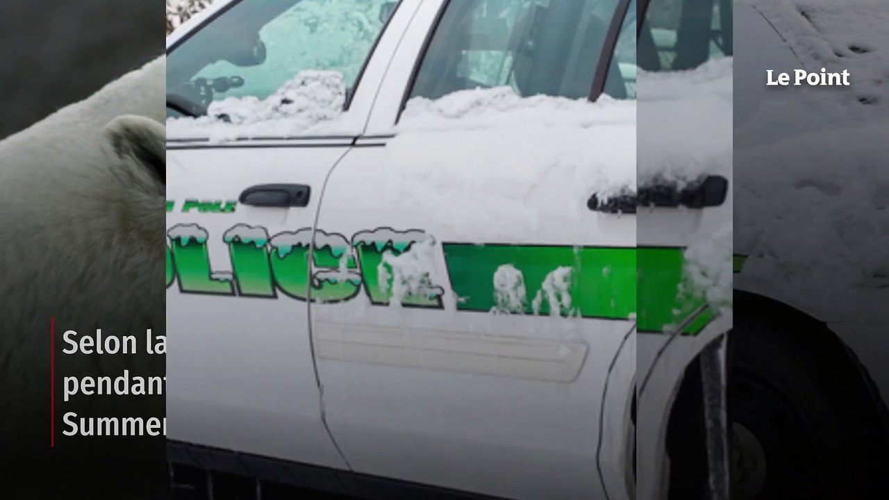 Une maman et son bébé tués par un ours polaire en Alaska