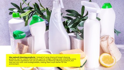 Eco-Friendly Cleaning 101: How to Save the Environment and Improve Your Workplace