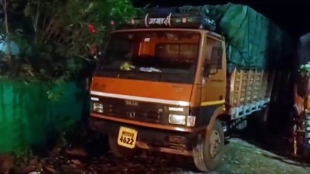 Green Neem trees were being cut