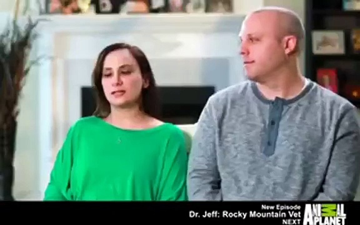 My Cat from Hell - Se8 - Ep08 - Twinkle, Twinkle, Little Scar HD Watch