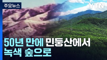 50년 만에 민둥산에서 녹색 숲으로...녹색의 기적 / YTN