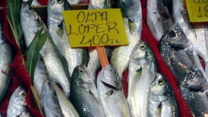 ÇANAKKALE'DE 'DENİZİN PRENSİ' LÜFERİN KİLOSU TEZGAHTA 400 TL