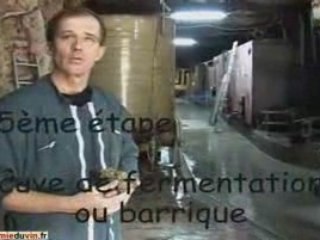 Vinification d'un vin blanc : cours académie du vin