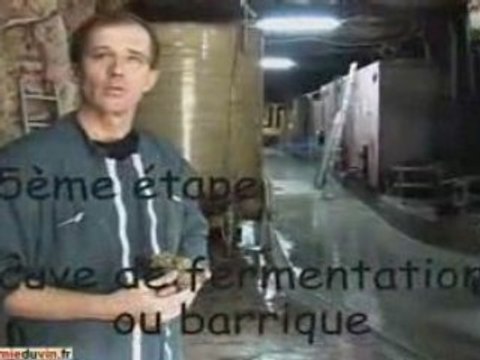 Vinification d'un vin blanc : cours académie du vin