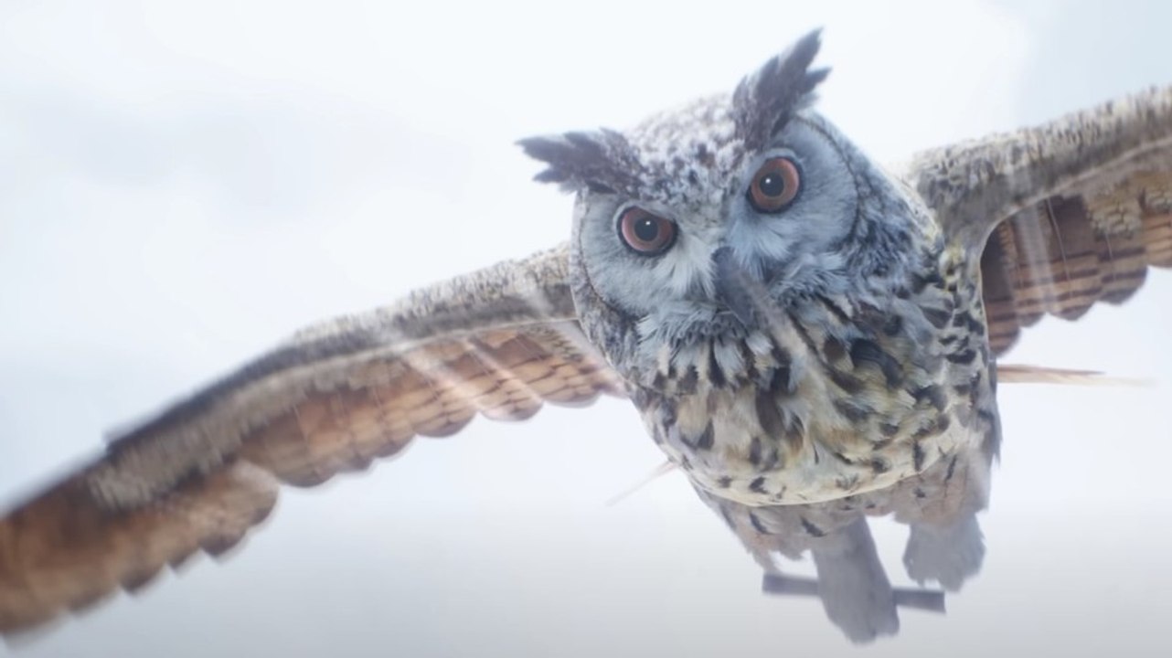 Hogwarts Legacy - Euer Hogwarts-Brief macht sich im neuen Trailer auf den Weg