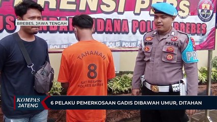 Download Video: 6 Pelaku Pemerkosaan Gadis Di Bawah Umur, Ditahan