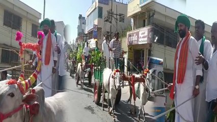 Chikmagalur Utsav: ಸಿ.ಟಿ ರವಿ ಎತ್ತಿನ ಗಾಡಿ ಮೆರವಣಿಗೆಯಲ್ಲಿ ಪಾಲ್ಗೊಂಡಿದ್ದು ಸ್ವತಃ ಅವರೇ ಗಾಡಿ ಓಡಿಸಿದರು