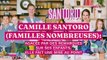 Camille Santoro (Familles nombreuses) agacée par des remarques sur ses enfants : elle fait une mise au point