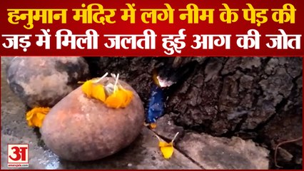Kanpur News: मंदिर के पेड़ की जड़ में मिली जलती हुई जोत, लोग चमत्कार मानकर करने लगे पूजा | UP News