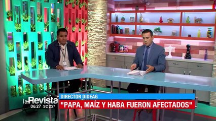 18 municipios y al menos 4 mil hectáreas son afectadas por las heladas en Cochabamba