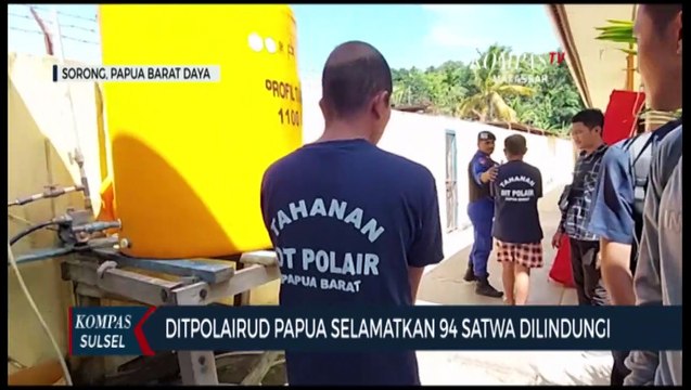 Ditpolairud Papua Selamatkan 94 Satwa Dilindungi