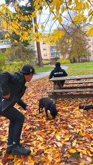 My top  100 Tik Tok magic Pranks 2022 -Julien Magic