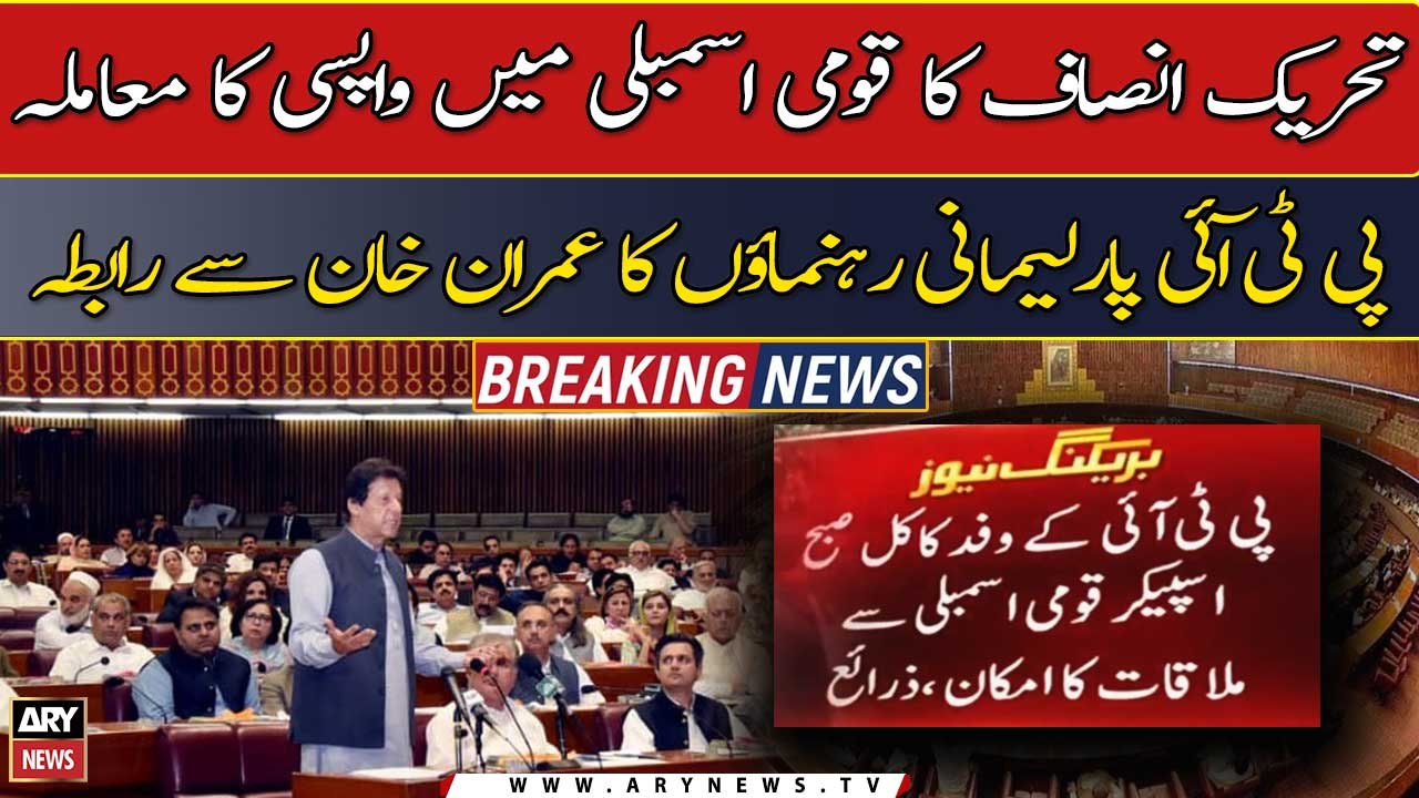 PTI return in NA: Party parliamentary leaders coordinates Imran Khan