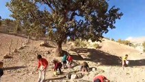 Picking Acorns by Village Children _ The Village Lifestyle of Iran