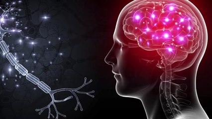 【TOP1%の秘密】”嫌でも”自動的にヤるべき事が出来るようになる5つのステップ
