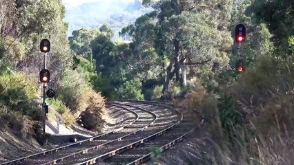 Australian Steam Trains - Steamrail Victoria Climbing Warrenheip Bank