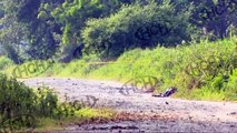 ¡ Con señales de tortura ! hallan muerto a hombre en Bordos de Flor de Cuba, SPS