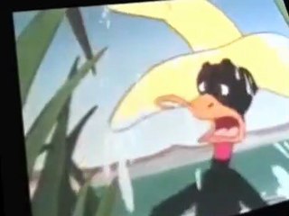 The Daffy Duck Show E013 - A Coy Decoy