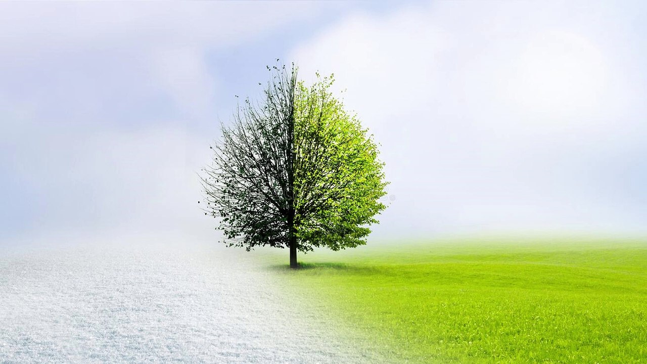 Relaxing Sounds of Outside Life Transitioning from Winter to Spring