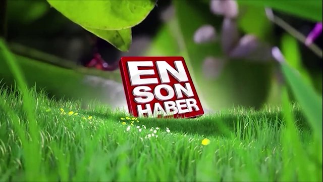 Koltukta oturmuş atıştırmalığını kemiren hamster