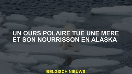 Un ours polaire tue une mère et son bébé en Alaska