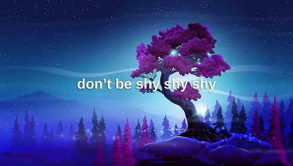 Tiësto & Karol G - Don't Be Shy [NO COPYRIGHT MUSIC] Remix