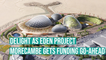 Delight as Eden Project Morecambe gets funding go-ahead